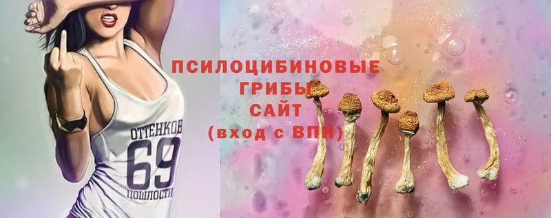 нарко площадка клад  Валдай  Галлюциногенные грибы Magic Shrooms 